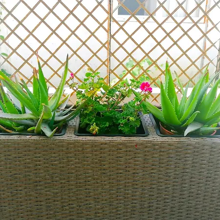 *костадин и мария* * Ahtopol