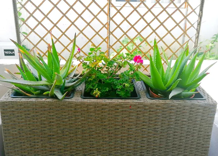 *костадин и мария* * Ahtopol